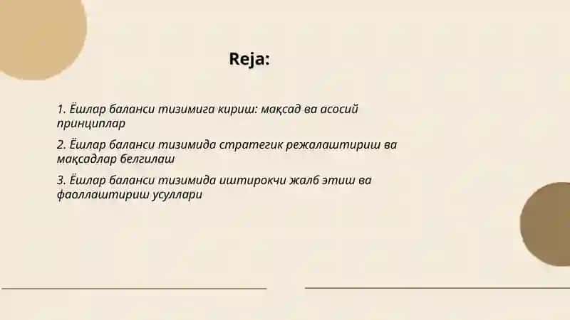 Ёшлар баланси тизими 2