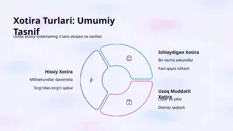 Xotira: Hissiy, Ishlaydigan va Uzoq Muddatli Xotira 2