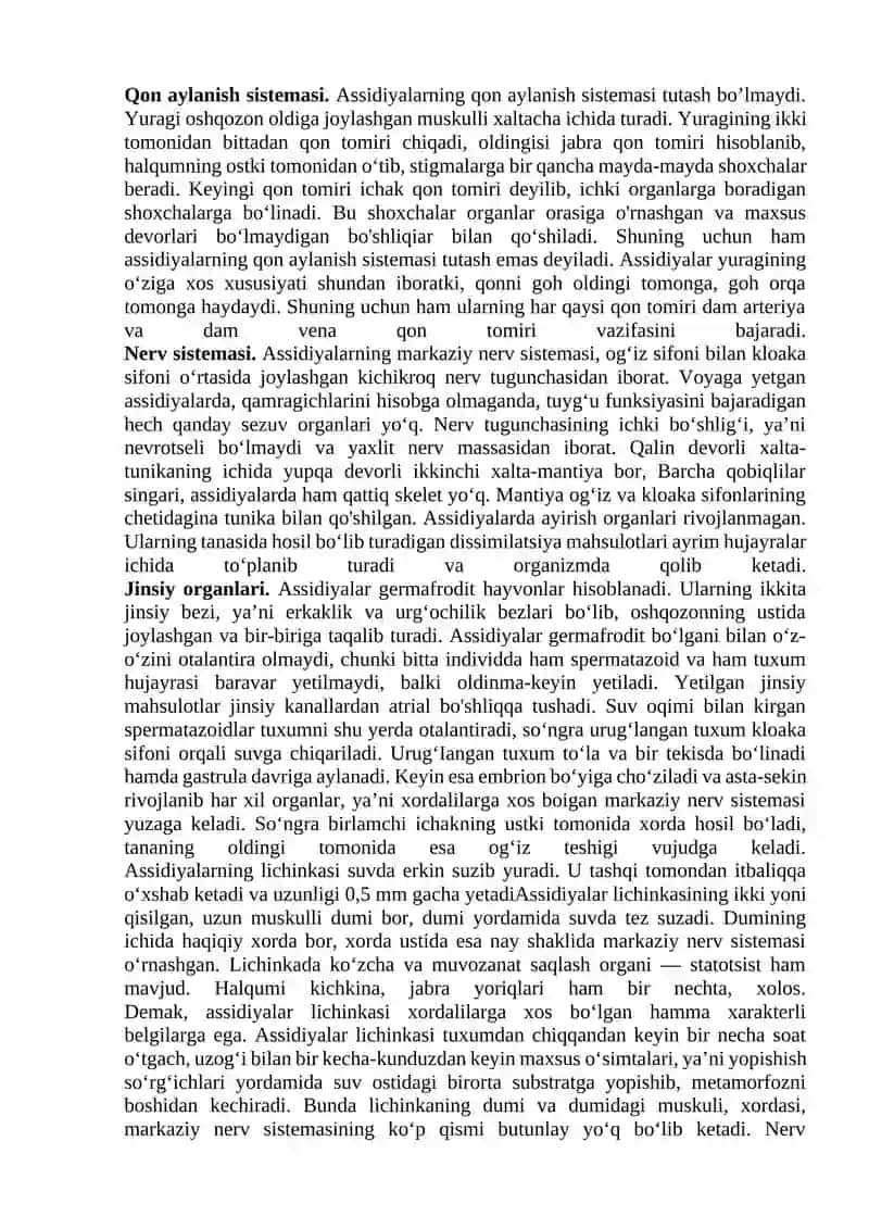 Assidiya va lansetnikning tuzilishi 2