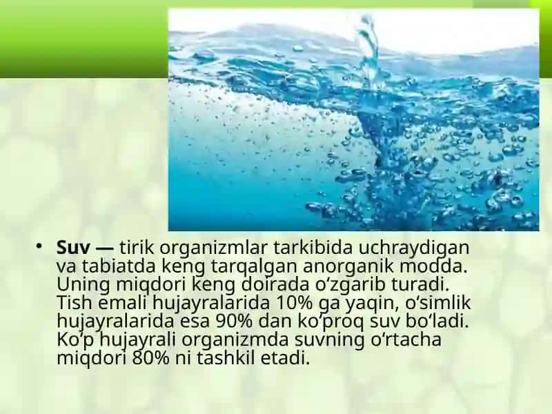 Hujayrada suvning ahamiyati 2