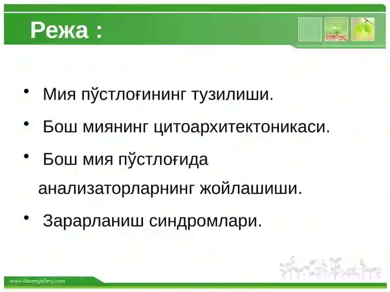 Бошмияпўстлоғи 2