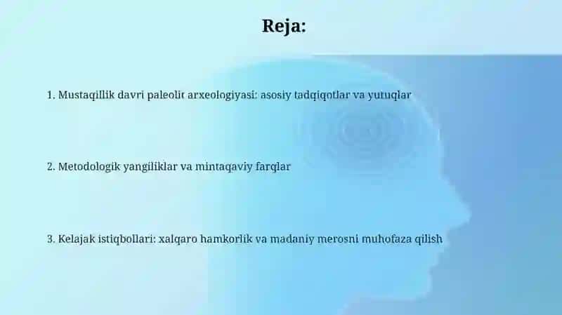 Mustaqilik davrida tosh davri arxeologiyasining o'rganilishi 2