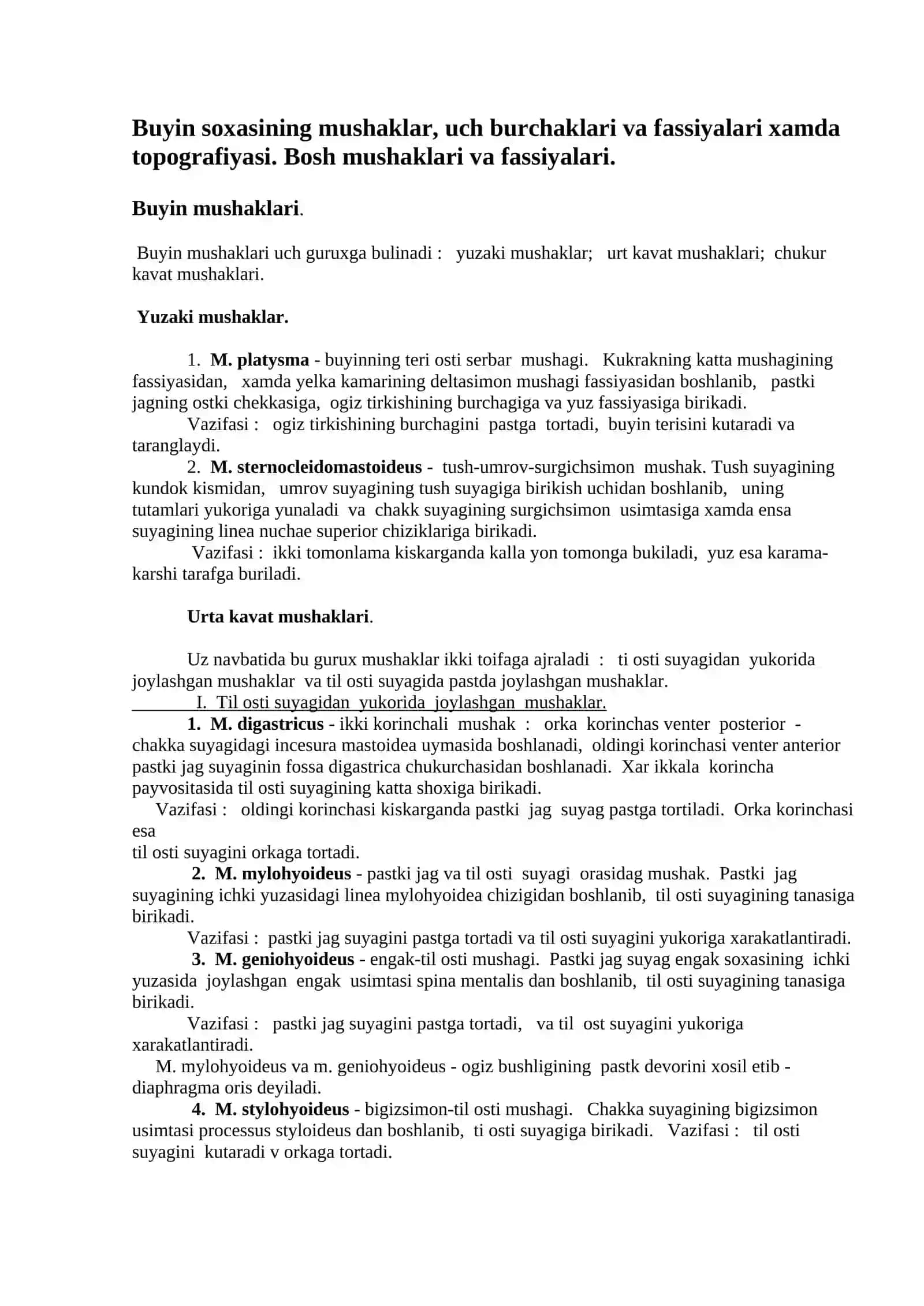 Buyin mushaklari 2