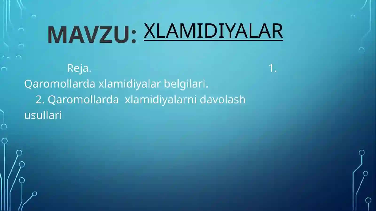 Xlamidiyalar 2