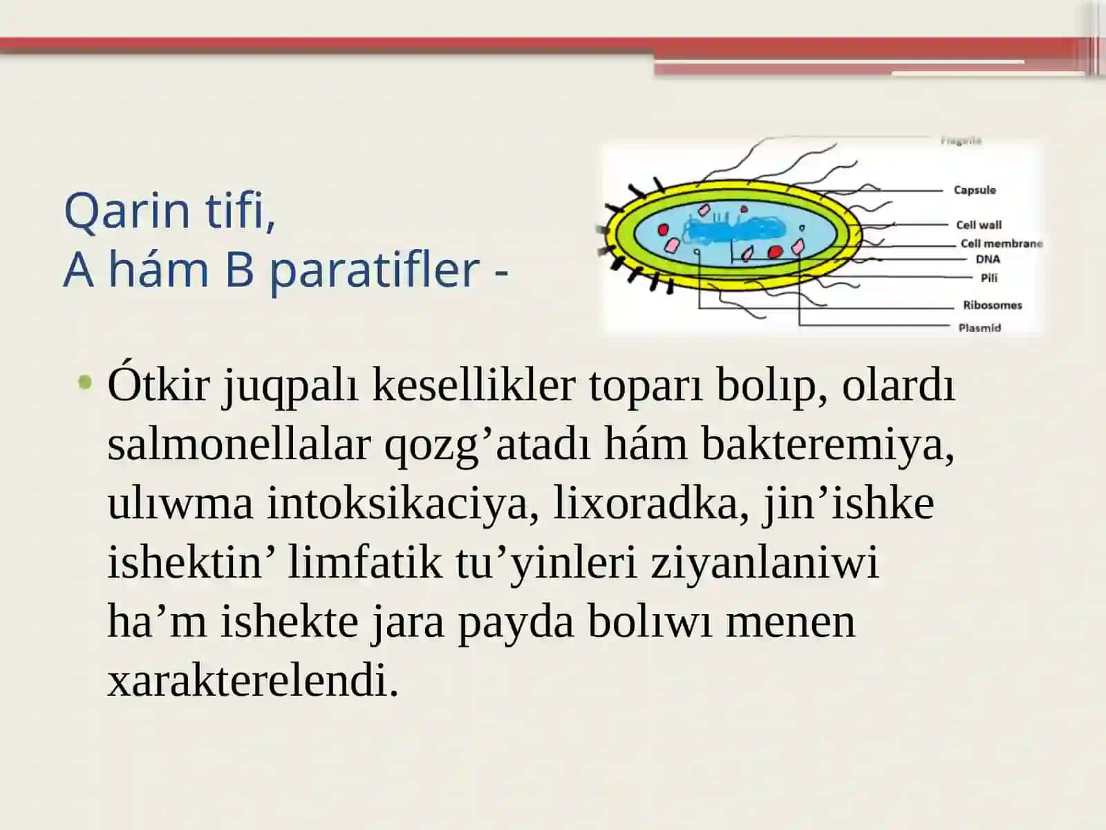 Qarintifi.A hám BParatifler 2