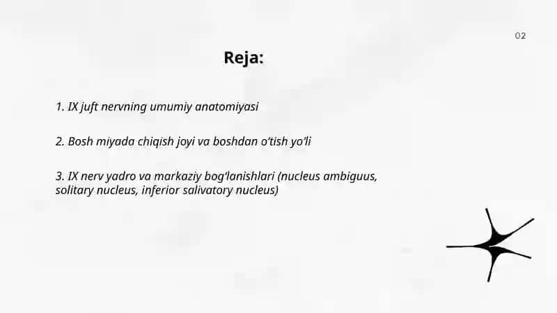 IX juft nervning umumiy anatomiyasi 2