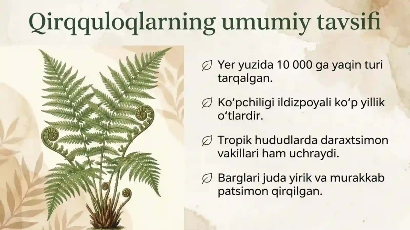 Qirqquloqlar bo'limi 2