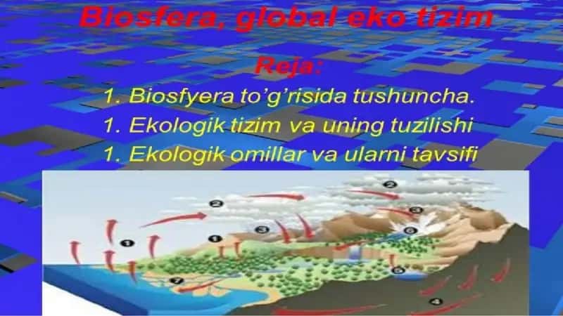 Biosfera haqida tushuncha 2