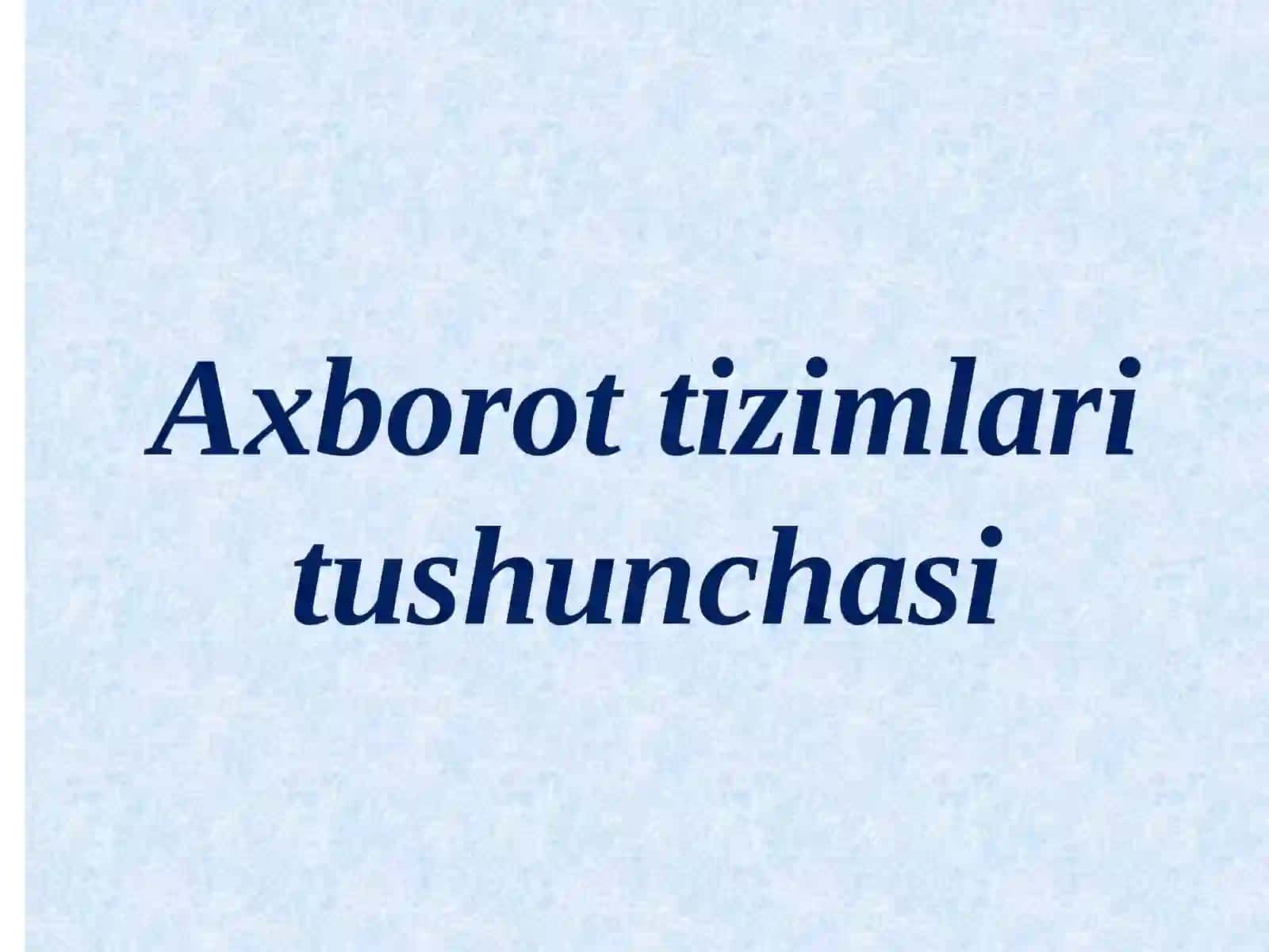 Axborot tizimlari tushunchasi 2
