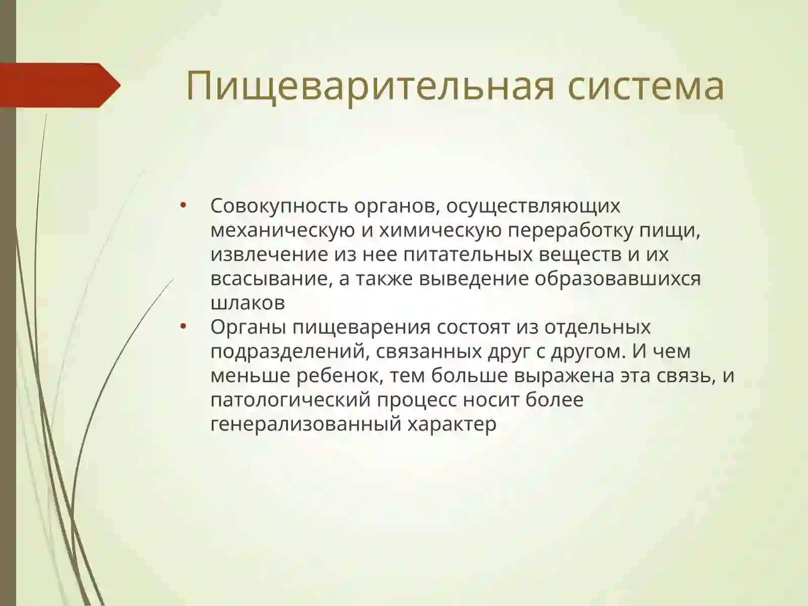 АФО Органы пищеварения у детей 2
