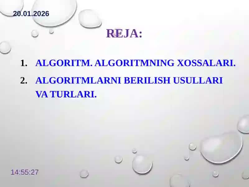 Algoritm va uning turlari 2
