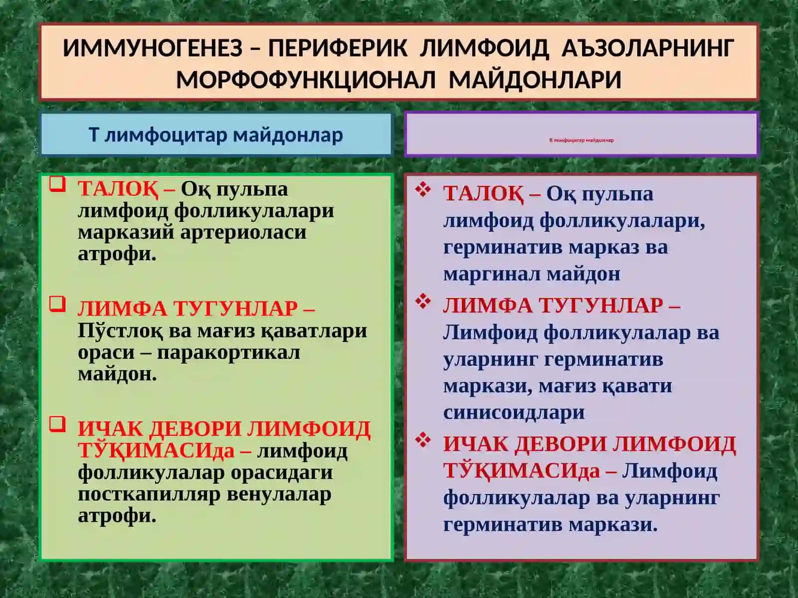 ИММУНОГЕНЕЗНИНГ СХЕМАТИК ТАСВИРИ 2