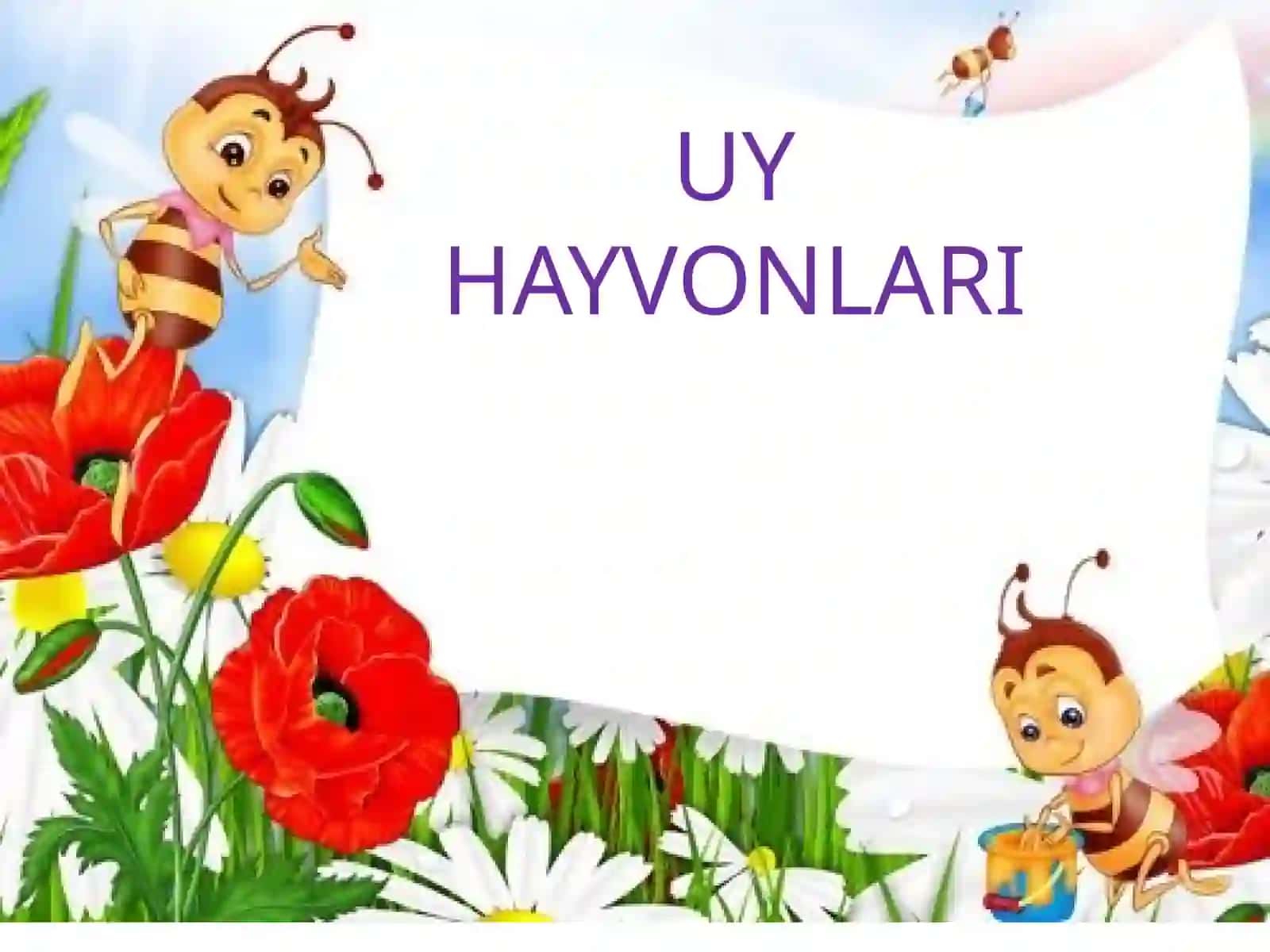 Uy Hayvonlari Ta'limi 2