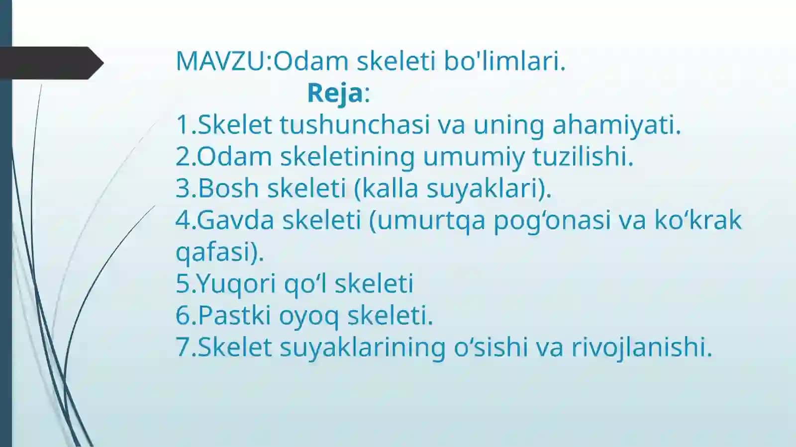BASKETBOL TA’LIM YO’NALISHI 1-KURS 1325-GURUH TALABASIVOHIDOVA KAMOLANING “ANATOMIYA”FANIDAN TAQDIMOT SLAYDI 2