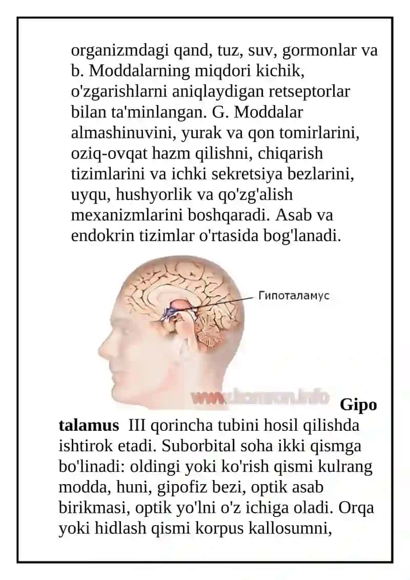 Gipotalamik sindrom 2