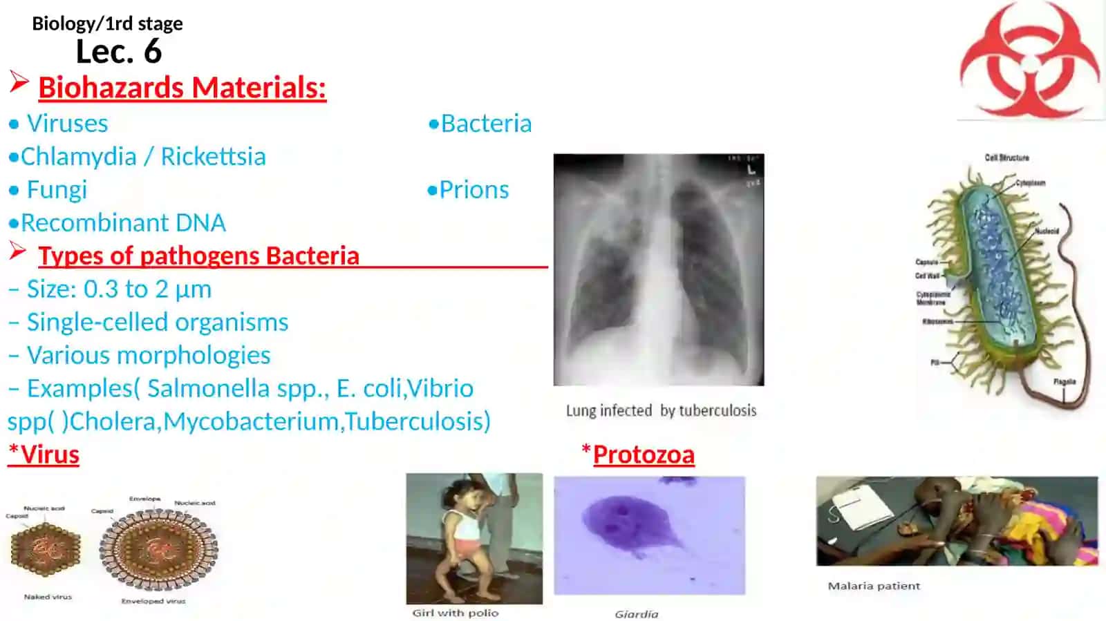 Biology 1nd stage 2