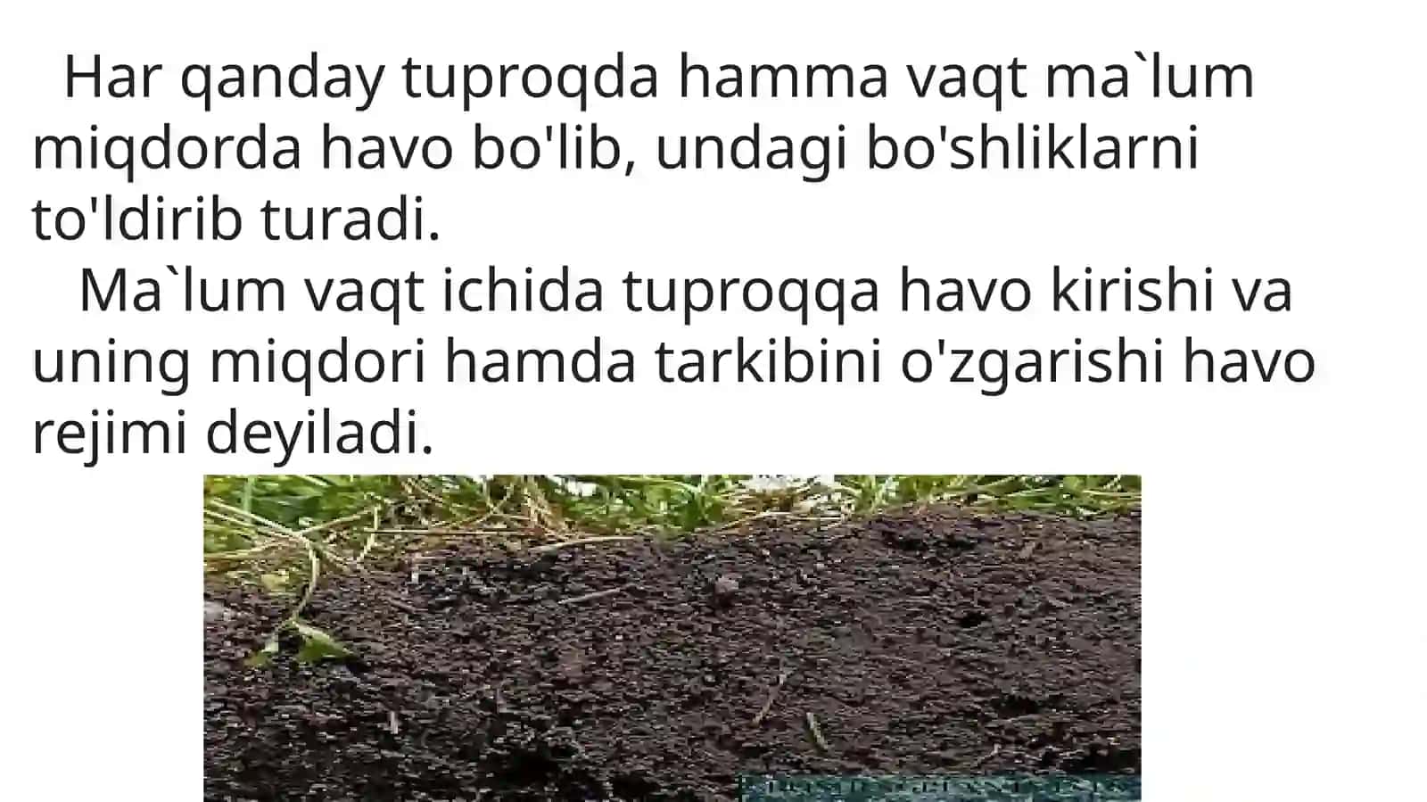 TUPROQ HAVOSI 2