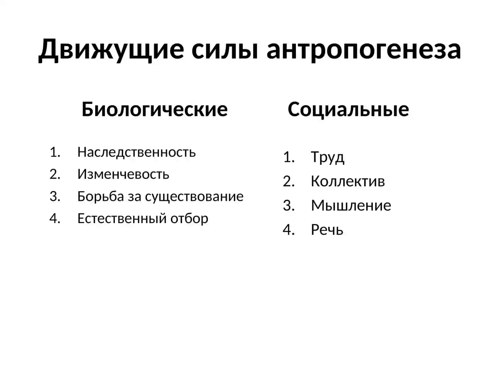 Антропогенез 2