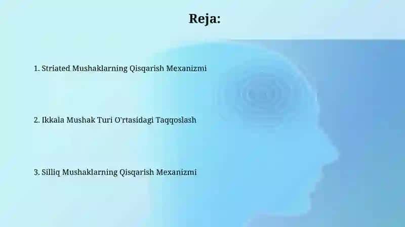 Silliq Mushaklarning Tuzilishi 2