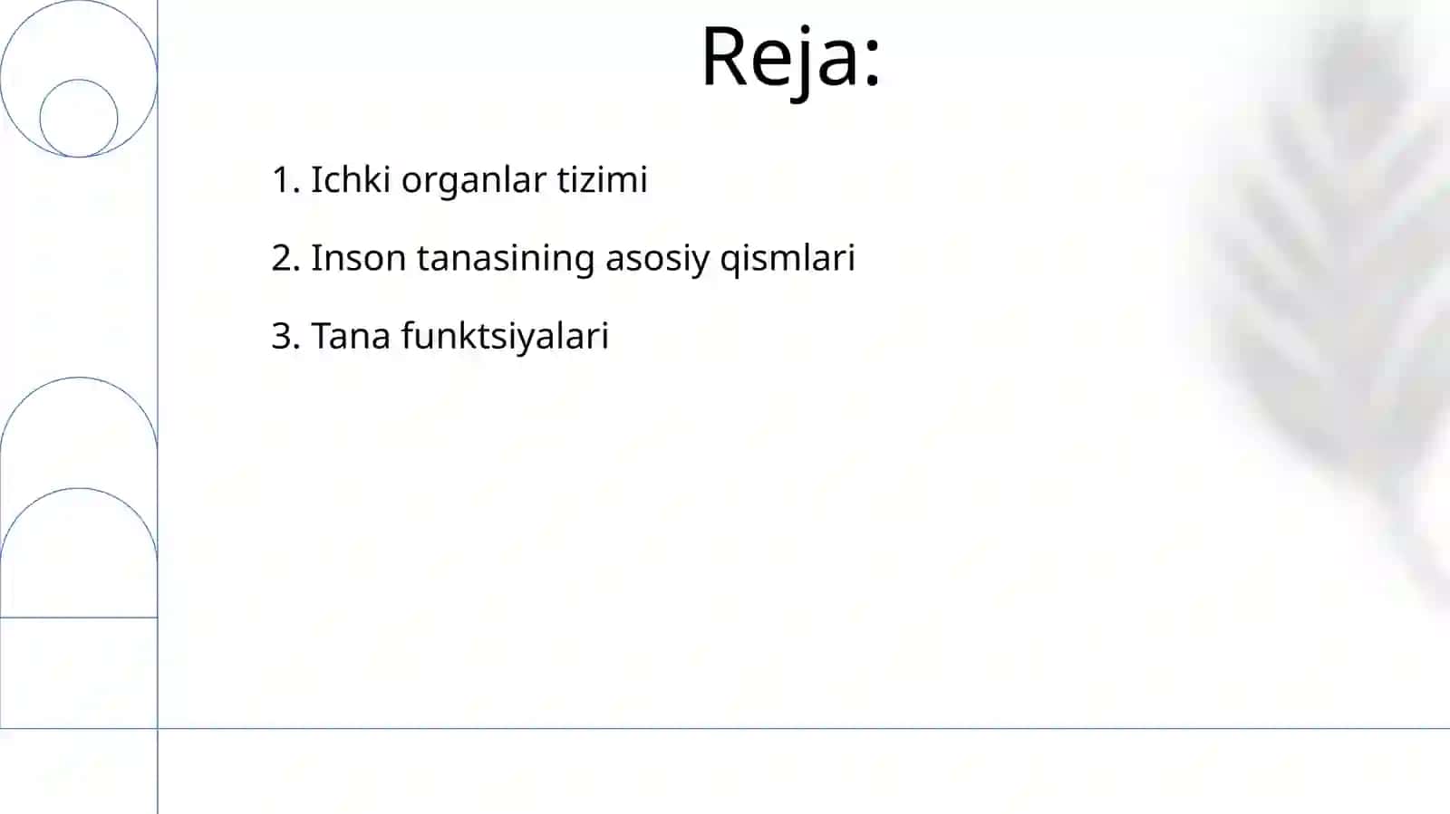 Inson tana a'zolari 2