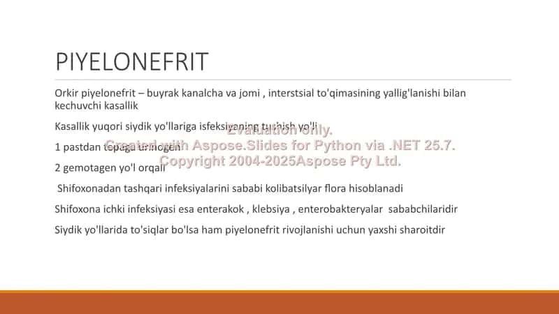 HOMILADORLARDA PIYELONEFRIT 2