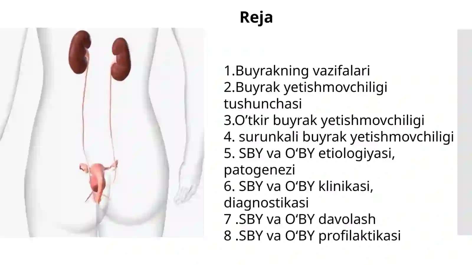 O‘tkir va surunkali buyrak yetishmovchiligi 2