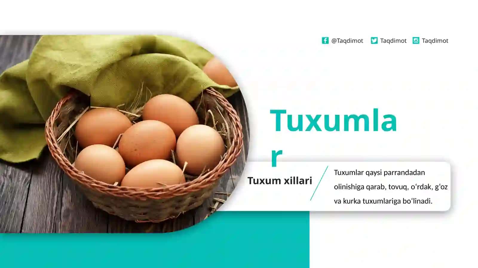 Tuxumlar 2