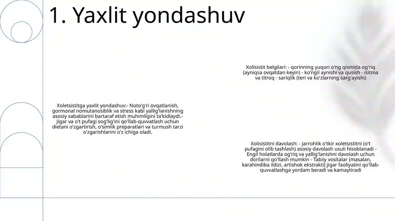 Xolisistit 2