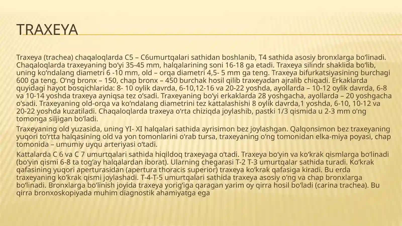 Traxeya,brox va o’pkaning anatomik-fiziologik xususiyatlari 2