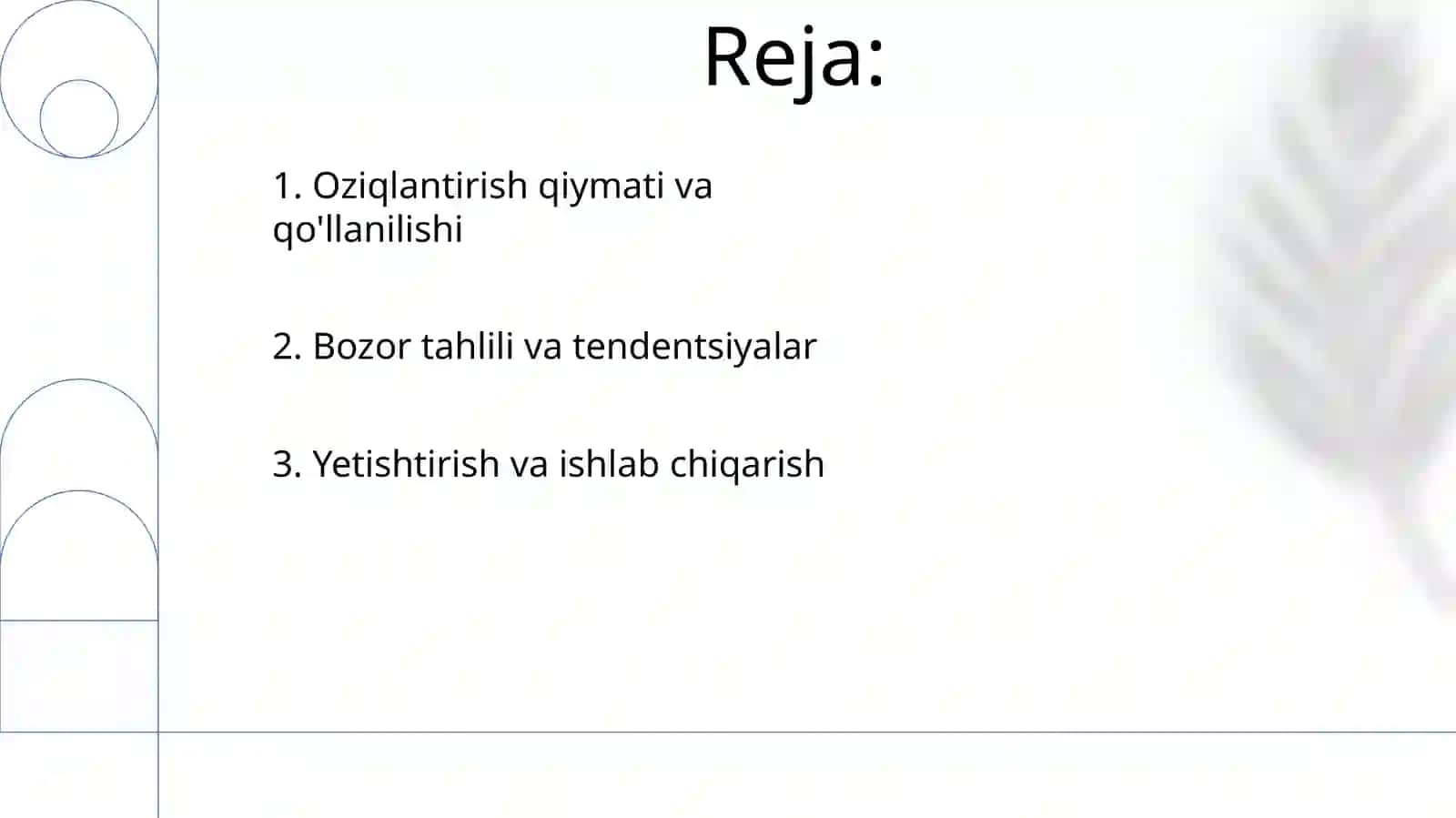 Kompakt fazolar 2