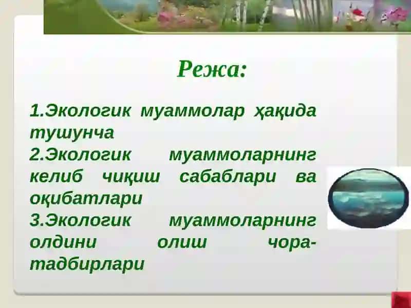 Экологик муаммолар 2