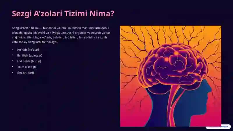 Sezgi-Azolari-Tizimining-Buzilishi-va-Test 2