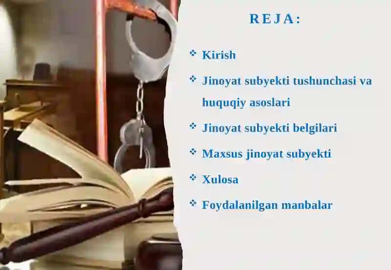Jinoyatsubyektitushunchasi 2