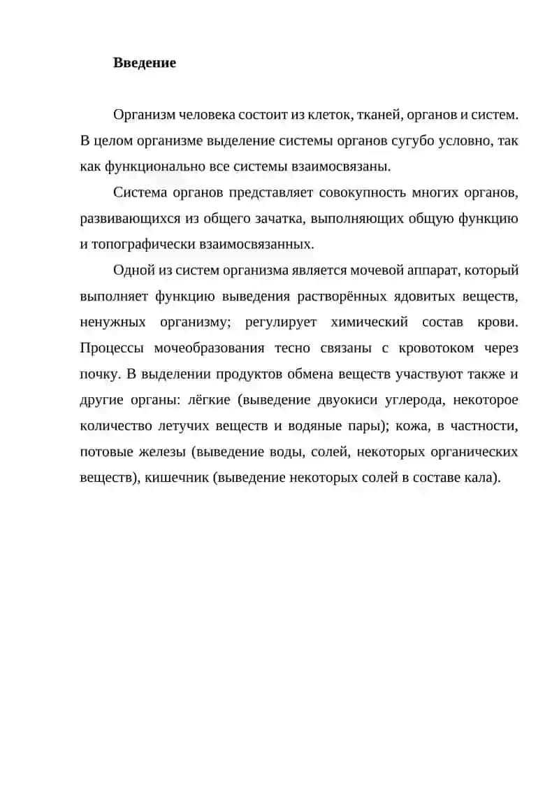 Мочевыделительная система 2
