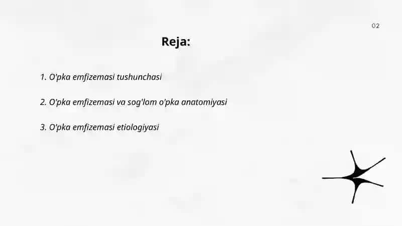 O'pka emfizemasi 2