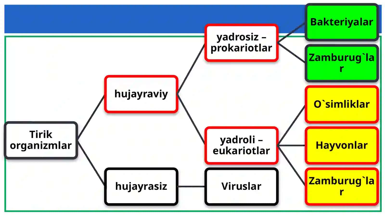 Viruslarni O'rganish Tarixi 2