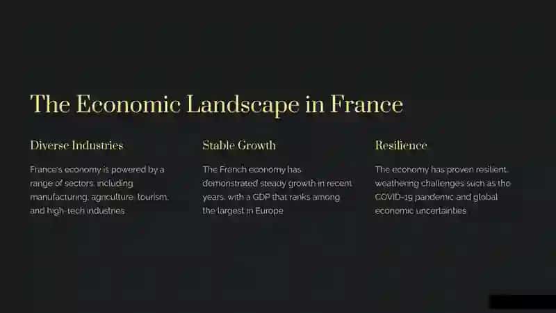 France's Economic Policies 2