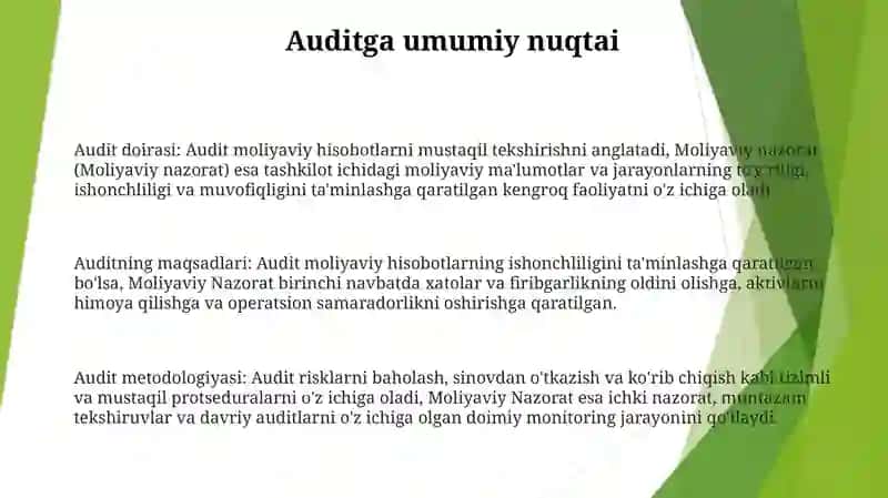 Audit Va Moliyaviy Nazorat 2