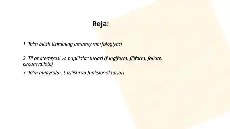 Ta'm bilish a'zolarining vazifaviy anatomiyasi 2