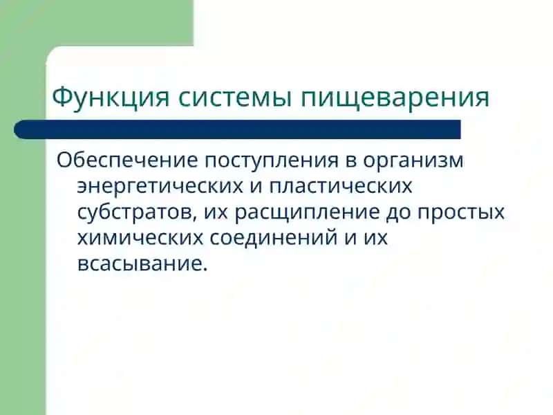 Патофизиология системы пищеварения 2