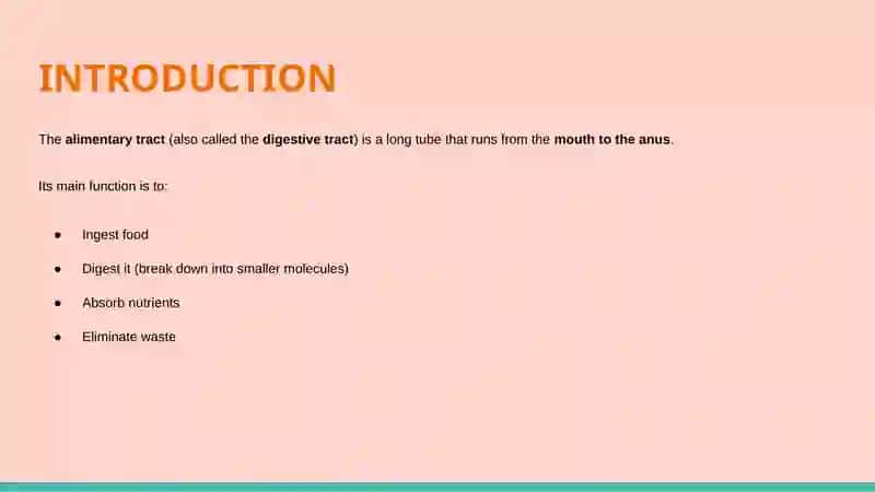 THE ALIMENTARY TRACT OF HUMAN BEING 2