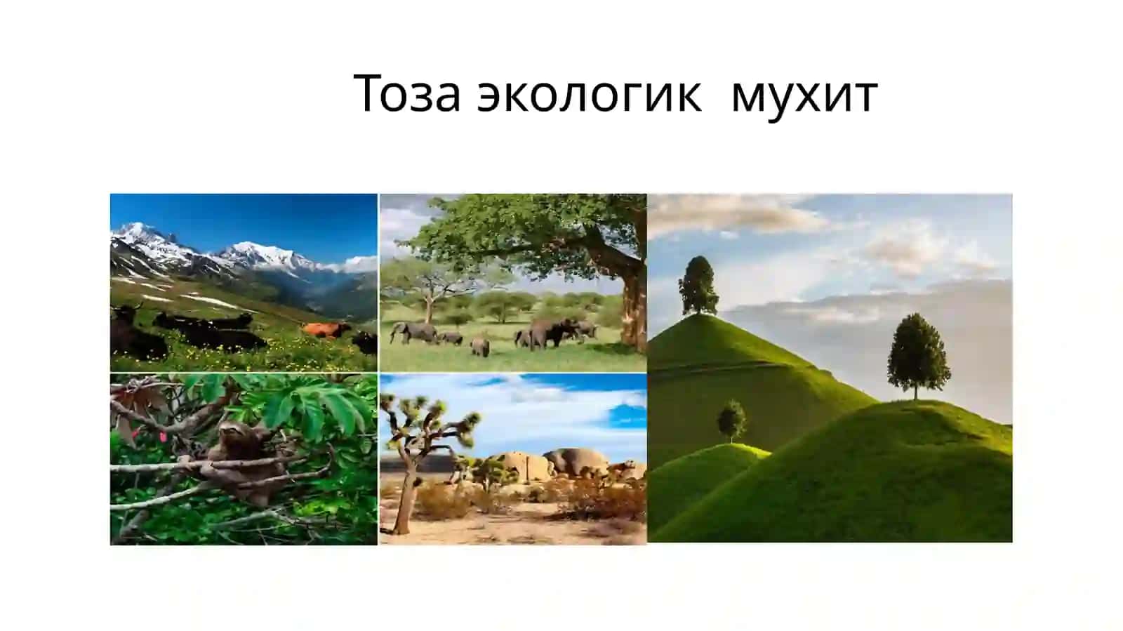 Ozbekistondagi ekologik muammolar 2