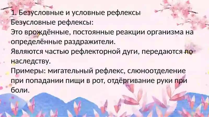 Безусловные и условные рефлексы 2