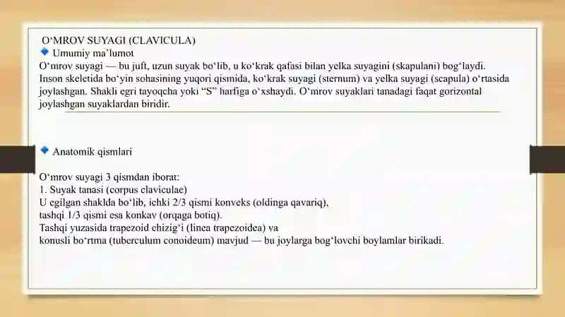 O'mrov chiqishlari va sinishlari 2