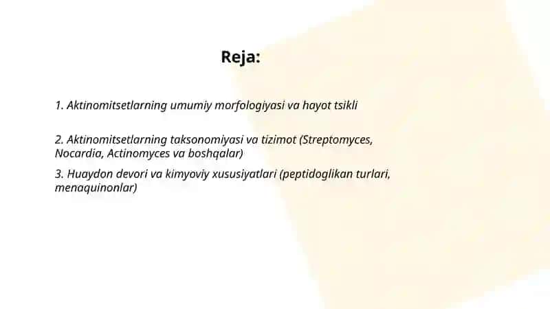 Aktinomitsetlar va ularga yaqin organizmlar 2