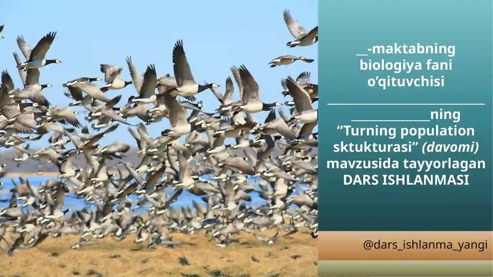 "Turning populationsktukturasi(davomi)" mavzusida 2