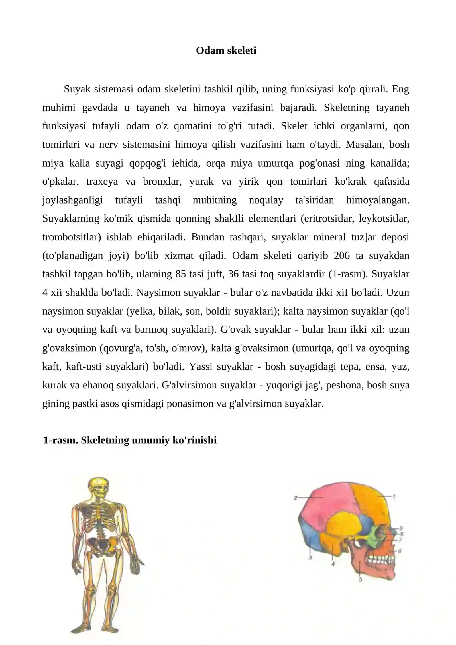 Tayanch-harakatlanish sistemasining tuzilishi 2