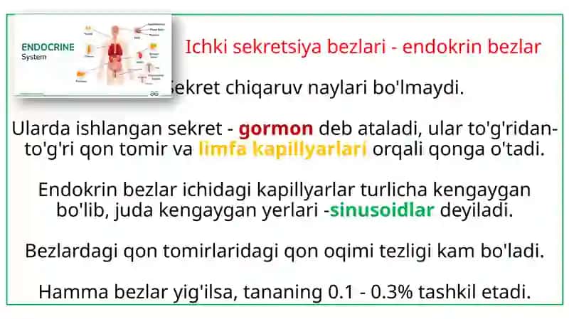 Endokrin bezi gormonlari 2