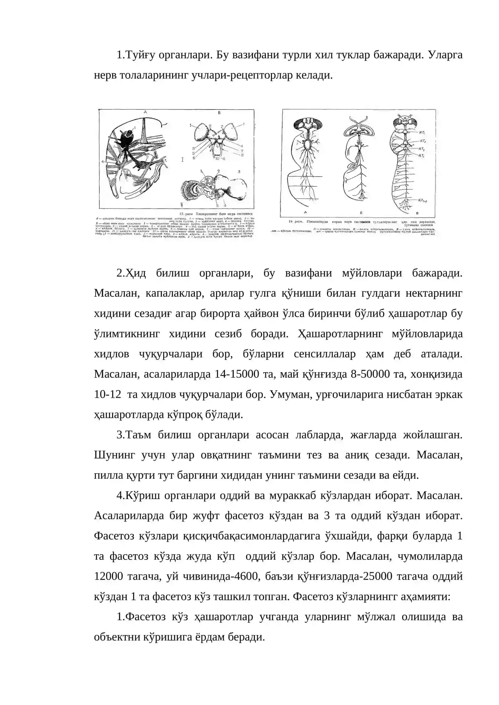 Нерв системаси ва сезги органлар 2