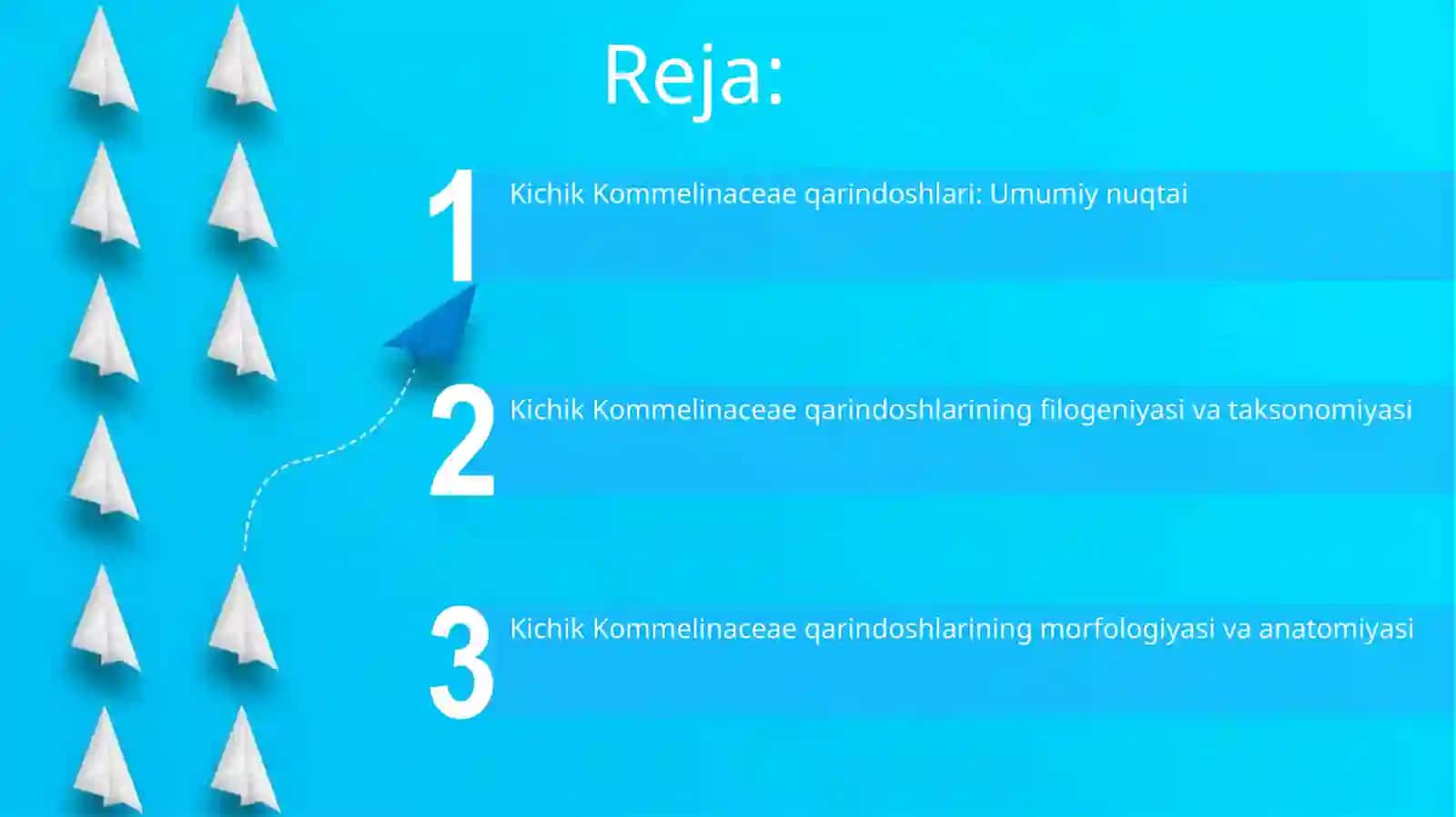 Kommelinidkabilar kichik ajdodi 2